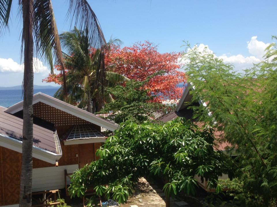Liwayway Sa Bohol Pamilacan Resort Baclayon Exterior foto